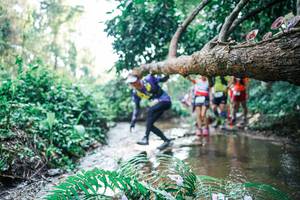 BIB: 
                            <button type="button" onclick="openModal(25459732)" class="btn btn-primary btn-sm float-right btn-popup" data-toggle="modal" data-target=".modal-high-quality">
                        <i class="fas fa-shopping-cart"></i> Add to Cart
                    </button>
                                            <button type="button" onclick="isThisMe(25459732, true)" class="btn btn-success btn-sm float-right btn-popup btn-isme hidden" data-toggle="tooltip" data-placement="bottom" title="นี่คือรูปของคุณใช่ไหม คลิกที่นี่เพื่อเอาเข้าอัลบั้ม">
                        <i class="fas fa-plus"></i> Add to album
                    </button>
                    <button type="button" onclick="isThisMe(25459732, false)" class="btn btn-warning btn-sm float-right btn-popup btn-isnotme hidden">
                        <i class="fas fa-ban"></i> Remove from album
                    </button>